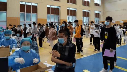 石家庄鸡肉爆料最新消息,真相与影响揭秘  第3张